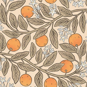 Meet your Posher, Kendra